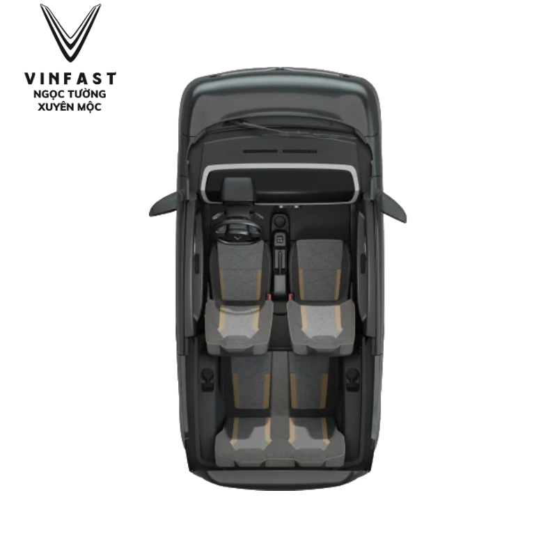 Đặt cọc VF2